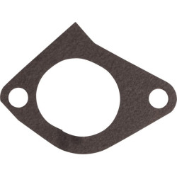 Massey Ferguson 3060 4222916M1 Įleidimo kolektoriaus tarpinė