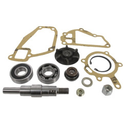 Massey Ferguson 3075 3641333M91 Vandens siurblio remonto komplektas