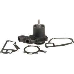 Massey Ferguson 3075 4222002M91 Vandens siurblys