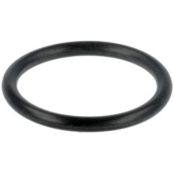 Massey Ferguson 425Xtra 4225847M1 purkštuko laikiklio sandarinimo žiedas