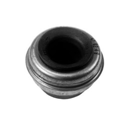 Massey Ferguson 690 VPE2597 vandens siurblio sandariklis