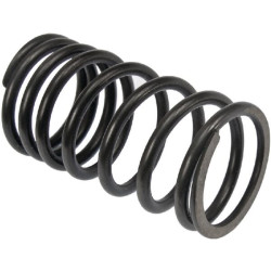 Massey Ferguson 383 VPA2004 Vožtuvo spyruoklė
