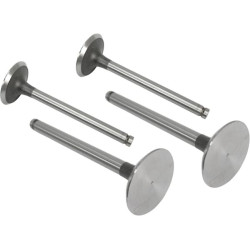 Massey Ferguson 1100 VPA1100 Įleidimo vožtuvas