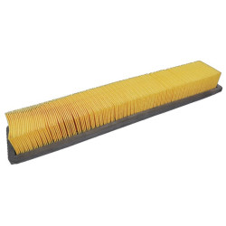 Massey Ferguson 3615 VA208725 oro filtras