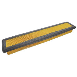 Massey Ferguson 3650 VA208725 oro filtras