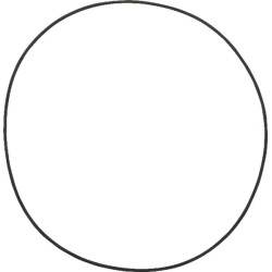 Massey Ferguson 5460 001051037 O žiedas