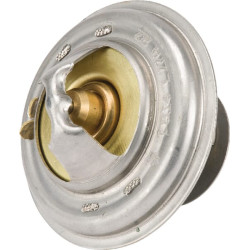 Massey Ferguson 5608 4224624M1 termostatas