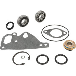 Massey Ferguson 5608 V836762631 Vandens siurblio remonto komplektas
