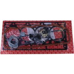 Case - IH 4210 3136799R99ELR Cilindro galvutės tarpiklių rinkinys