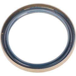 Case - IH Maxxum 130 47137455 Sandariklis