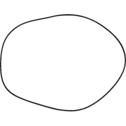 Massey Ferguson 6490 4301296M3 stabdžių sandarinimo žiedas