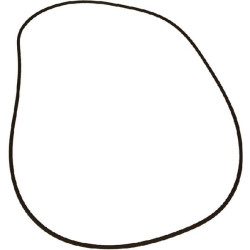 Massey Ferguson 6614 VPJ7344 O žiedas