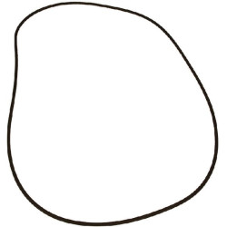 Massey Ferguson 6614 VPJ7345 O žiedas