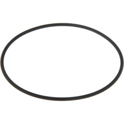 Massey Ferguson 6614 V614610130 Vandens siurblio sandarinimo žiedas