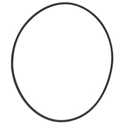 Case - IH 4210 405462R1 Hidraulinės alyvos filtro sandariklis