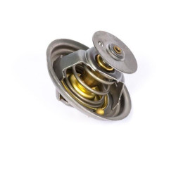 Massey Ferguson 7480 2485C036 termostatas