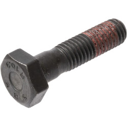 Massey Ferguson 7480 016313721 šešiakampis varžtas