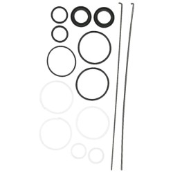 Case - IH 4210 55355C91 vairo cilindro remonto komplektas