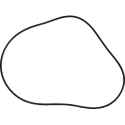 Massey Ferguson 7626 3716252M1 stabdžių O žiedas