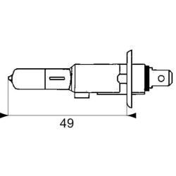 Massey Ferguson 8130 GL12258PR lemputė 12V 55W H1