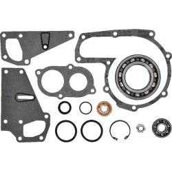 Massey Ferguson 8240 V836340257 Vandens siurblio remonto komplektas