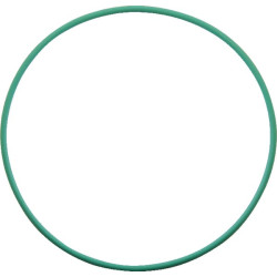 Massey Ferguson 8470 X548994700000 O žiedas