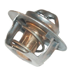 Massey Ferguson 8735 Sn.HB191017-999999 ACW0198140 Termostatas