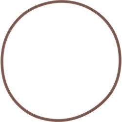 Case - IH Maxxum 165CVT 14466981 O žiedas