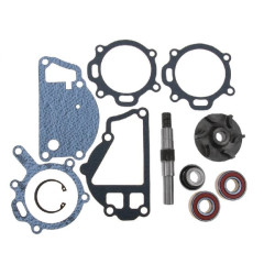 Massey Ferguson 285 VPE2073 Vandens siurblio remonto komplektas