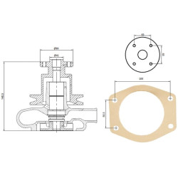 Massey Ferguson 355 41312487KR Vandens siurblys tinka Perkins