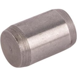 Case - IH Maxxum 145 17275310 Šakė