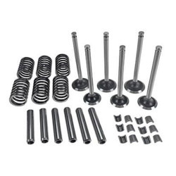 Vožtuvų komplektas Massey Ferguson 135 VPA6004
