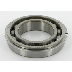 Massey Ferguson 152 195498M1N guolis