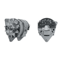 Massey Ferguson 284 IA0913 kintamosios srovės generatorius 14V 65A