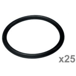 Massey Ferguson 4215 VFE1045 O žiedas