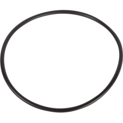 Massey Ferguson 4220 3005538X1 O žiedas