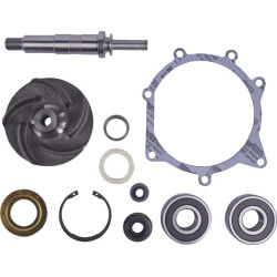 Massey Ferguson 4240 9900193N Vandens siurblio remonto komplektas