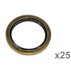 Massey Ferguson 4245 VFE3004 Priklijuotas sandariklis
