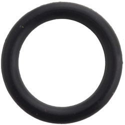 Massey Ferguson 4260 195561M1 O žiedas