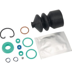 Massey Ferguson 6290 1810833M91N pagrindinio cilindro remonto rinkinys