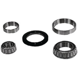 New Holland TS100A VPJ2206 Wheel bearing kit