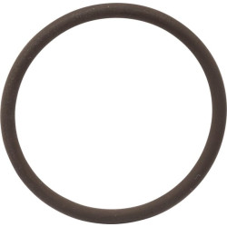 New Holland TS115A Delta 14458381N O-Ring