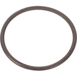 New Holland TS125A 14458881N Seal ring