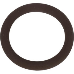New Holland TS135A Plus 14462981N O-ring