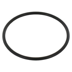 New Holland TN55 87421143 O-ring