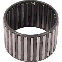 New Holland TN55 5168196 Needle bearing