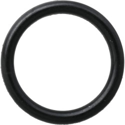 New Holland TN75 14453181N Ring