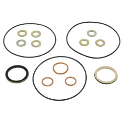 New Holland TN75FA 5196607 Gasket set