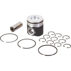 New Holland 8870 A 87802369 Plungers and rings set
