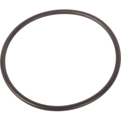 New Holland 8870 A 9848697N O-ring
